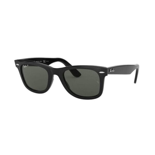 Rayban Warfarer “ Black 50 Ekartman “